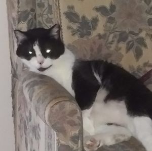 Meet your Posher, Jane